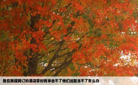 我在携程网订的酒店零时有事去不了他们说取消不了怎么办