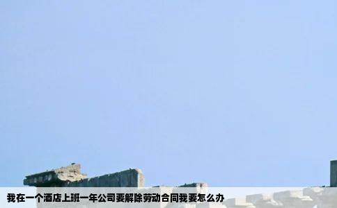 我在一个酒店上班一年公司要解除劳动合同我要怎么办