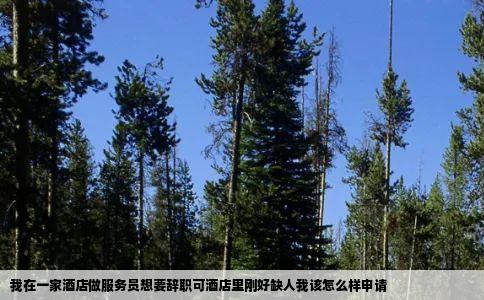 我在一家酒店做服务员想要辞职可酒店里刚好缺人我该怎么样申请