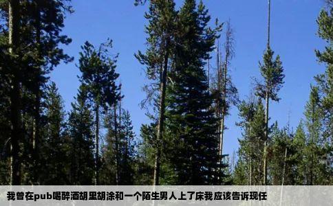 我曾在pub喝醉酒胡里胡涂和一个陌生男人上了床我应该告诉现任