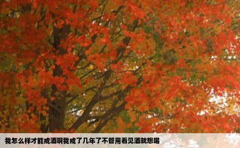 我怎么样才能戒酒啊我戒了几年了不管用看见酒就想喝