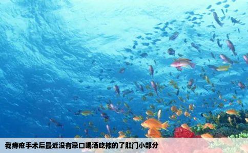 我痔疮手术后最近没有忌口喝酒吃辣的了肛门小部分