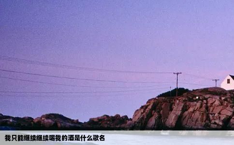我只能继续继续喝我的酒是什么歌名