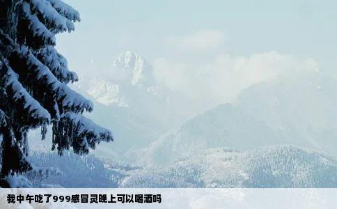 我中午吃了999感冒灵晚上可以喝酒吗
