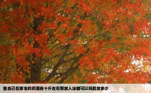 我自己在家泡的药酒有十斤左右想放入冰糖可以吗能放多少