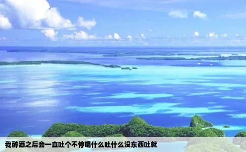 我醉酒之后会一直吐个不停喝什么吐什么没东西吐就