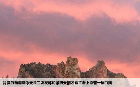 我做的葡萄酒今天是二次发酵的第四天刚才看了看上面有一层白膜