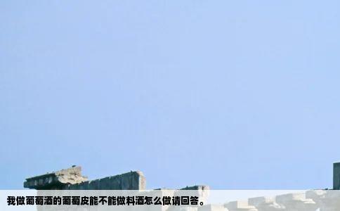 我做葡萄酒的葡萄皮能不能做料酒怎么做请回答。