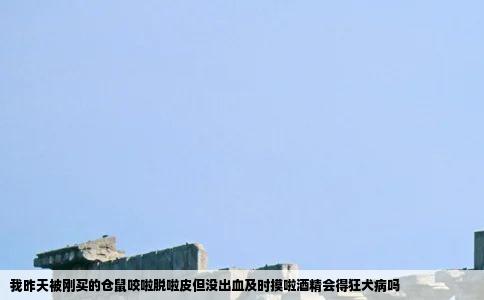 我昨天被刚买的仓鼠咬啦脱啦皮但没出血及时摸啦酒精会得狂犬病吗