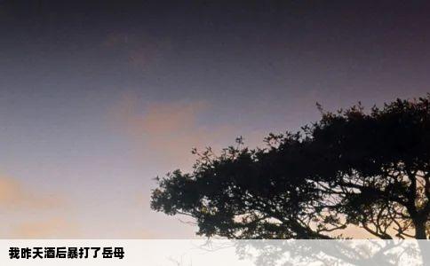 我昨天酒后暴打了岳母