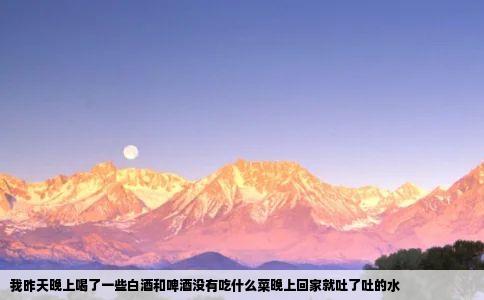 我昨天晚上喝了一些白酒和啤酒没有吃什么菜晚上回家就吐了吐的水