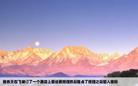我昨天在飞猪订了一个酒店上面说要担保然后我点了担保之后输入密码