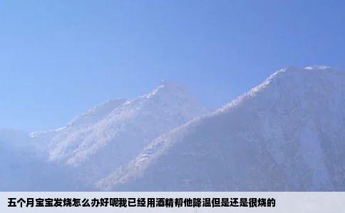 五个月宝宝发烧怎么办好呢我已经用酒精帮他降温但是还是很烧的