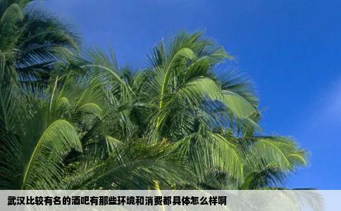 武汉比较有名的酒吧有那些环境和消费都具体怎么样啊