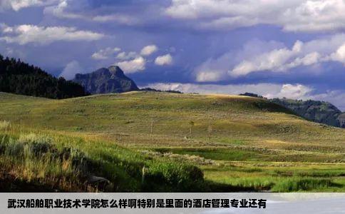 武汉船舶职业技术学院怎么样啊特别是里面的酒店管理专业还有