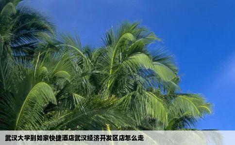 武汉大学到如家快捷酒店武汉经济开发区店怎么走