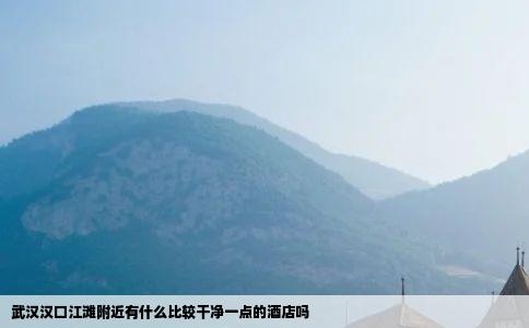 武汉汉口江滩附近有什么比较干净一点的酒店吗