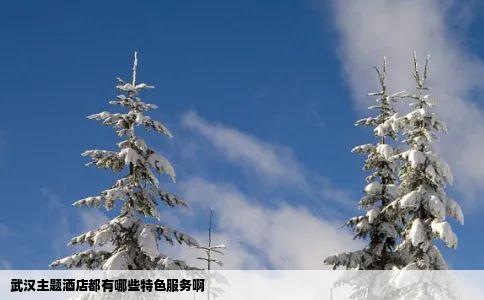 武汉主题酒店都有哪些特色服务啊