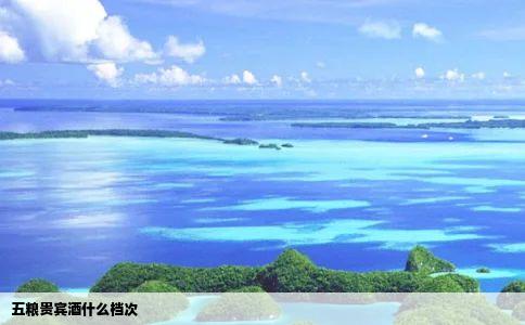 五粮贵宾酒什么档次