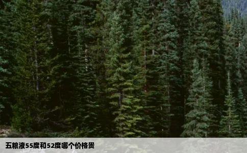 五粮液55度和52度哪个价格贵