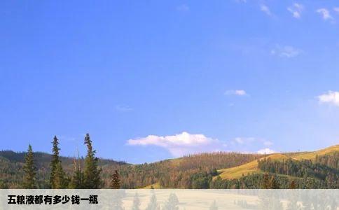 五粮液都有多少钱一瓶