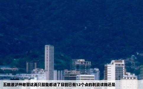 五粮液泸州老窖这两只股我都进了目前已有12个点的利润该抛还是
