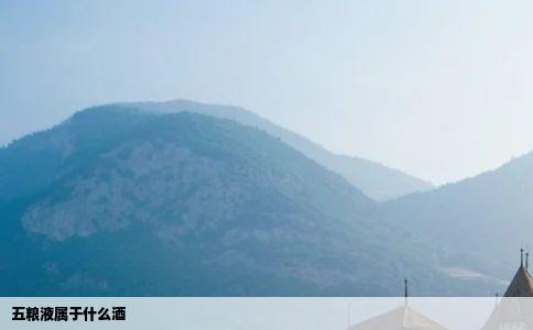 五粮液属于什么酒