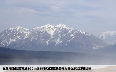 五粮液添福贵宾酒500ml38和52口感怎么样为什么52度的比38
