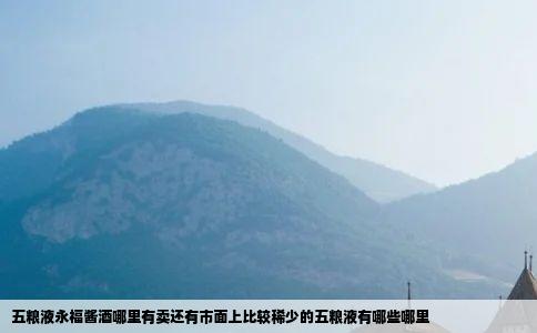五粮液永福酱酒哪里有卖还有市面上比较稀少的五粮液有哪些哪里
