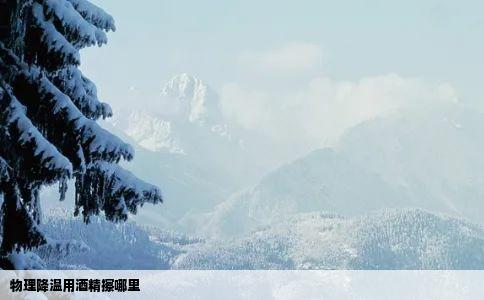 物理降温用酒精擦哪里