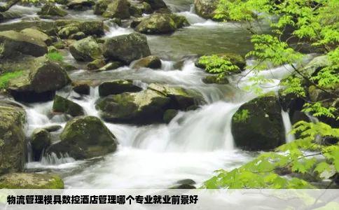 物流管理模具数控酒店管理哪个专业就业前景好