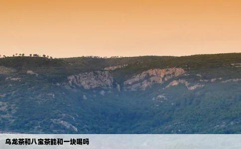 乌龙茶和八宝茶能和一块喝吗