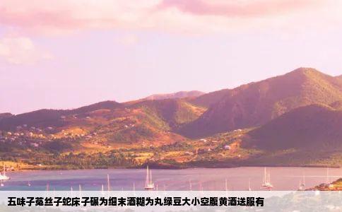 五味子菟丝子蛇床子碾为细末酒糊为丸绿豆大小空腹黄酒送服有