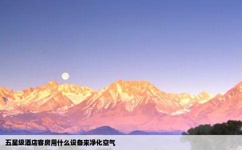 五星级酒店客房用什么设备来净化空气