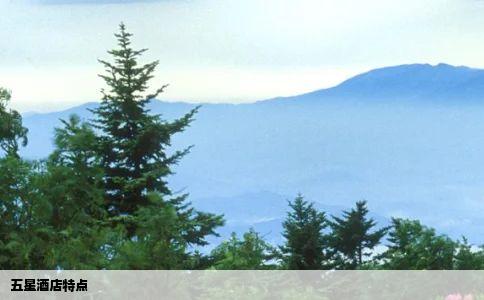 五星酒店特点