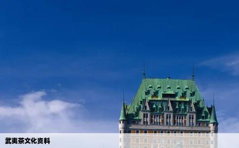 武夷茶文化资料