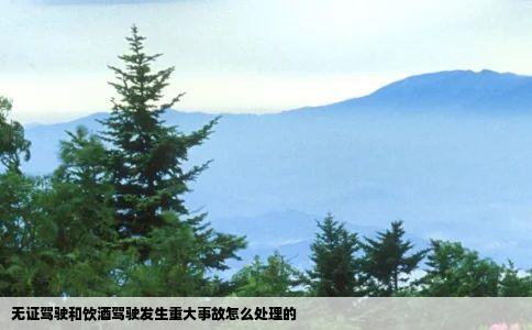 无证驾驶和饮酒驾驶发生重大事故怎么处理的