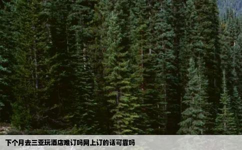 下个月去三亚玩酒店难订吗网上订的话可靠吗