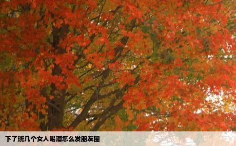 下了班几个女人喝酒怎么发朋友圈