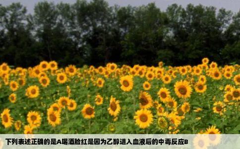 下列表述正确的是A喝酒脸红是因为乙醇进入血液后的中毒反应B