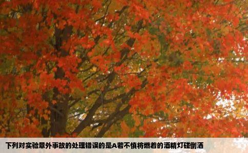 下列对实验意外事故的处理错误的是A若不慎将燃着的酒精灯碰倒洒