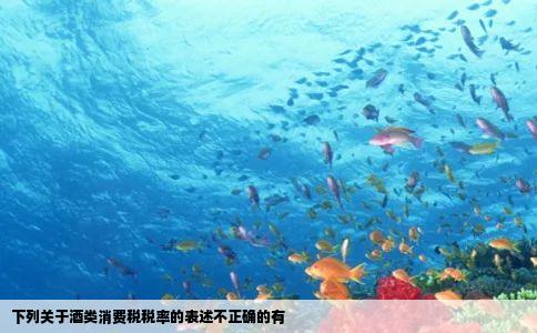 下列关于酒类消费税税率的表述不正确的有