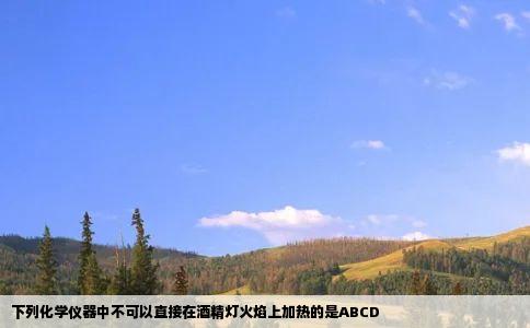 下列化学仪器中不可以直接在酒精灯火焰上加热的是ABCD