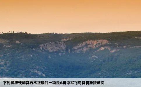 下列赏析饮酒其五不正确的一项是A诗中写飞鸟具有象征意义