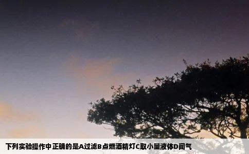 下列实验操作中正确的是A过滤B点燃酒精灯C取小量液体D闻气