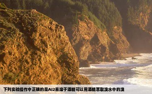 下列实验操作中正确的是AI2易溶于酒精可以用酒精萃取溴水中的溴