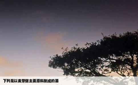 下列是以麦芽做主要原料制成的酒