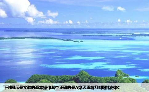 下列图示是实验的基本操作其中正确的是A熄灭酒精灯B倾倒液体C