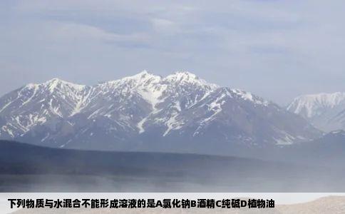 下列物质与水混合不能形成溶液的是A氯化钠B酒精C纯碱D植物油