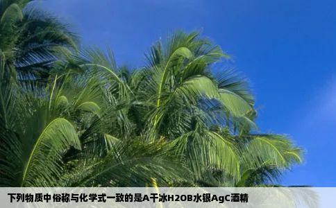 下列物质中俗称与化学式一致的是A干冰H2OB水银AgC酒精